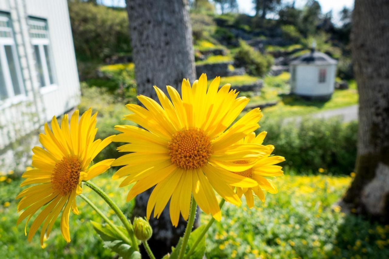 Lofoten Sommerhotell Og Vandrerhjem คาเบลว็อก ภายนอก รูปภาพ